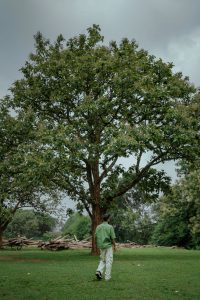 View larger photo: A man walking across a grassy field with a tall tree in the background.