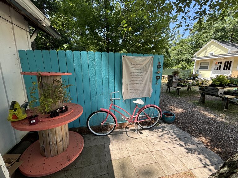 Back yard with a pink bicycle, blue fence, and plants.