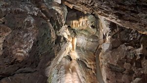 The interior of a cave, featuring a stunning display of stalactites and stalagmites. The rock formations are intricate and textured, with mineral deposits creating unique patterns and colors.