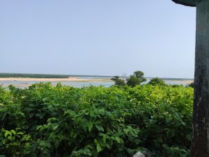  The image shows a lush, green landscape with dense vegetation in the foreground, a river with sandy banks in the middle ground, and a clear blue sky in the background. Part of a wall is visible on the right side.
