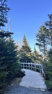 View larger photo: Beautiful hiking way in St. John's, NL, Canada.