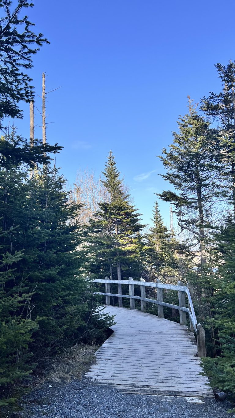 Beautiful hiking way in St. John’s, NL, Canada.