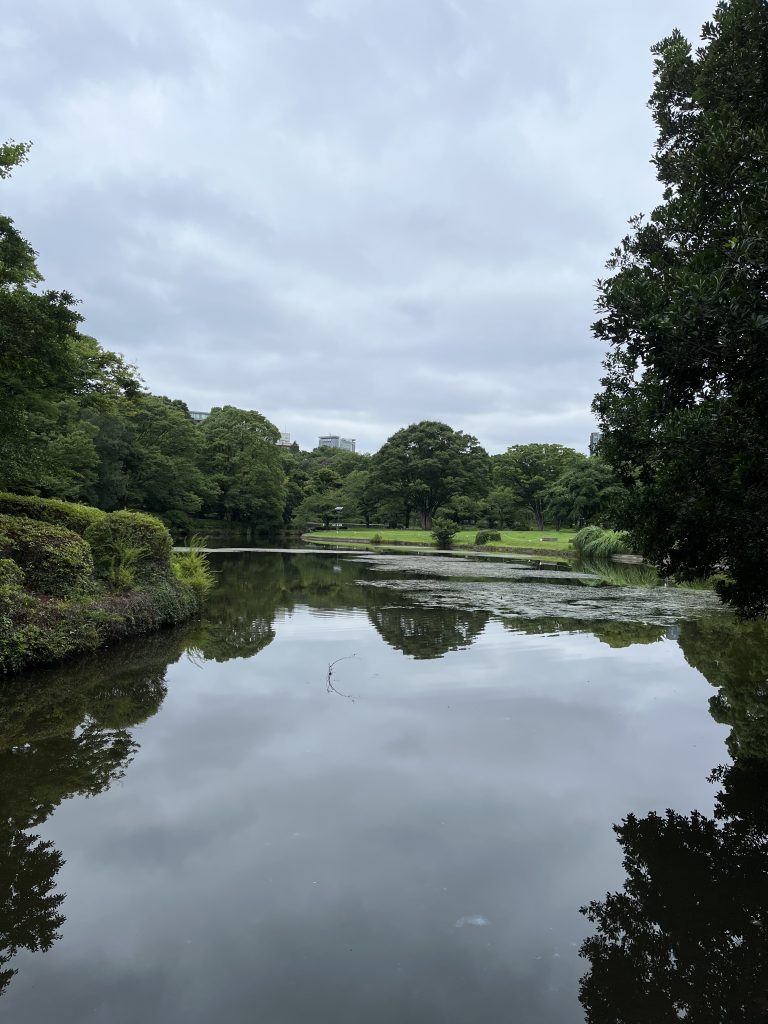 Pond surrounded by trees on a cloudy day.