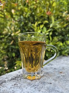 A close-up of a glass of tea, resting on a concrete surface with a blurred green background of foliage.