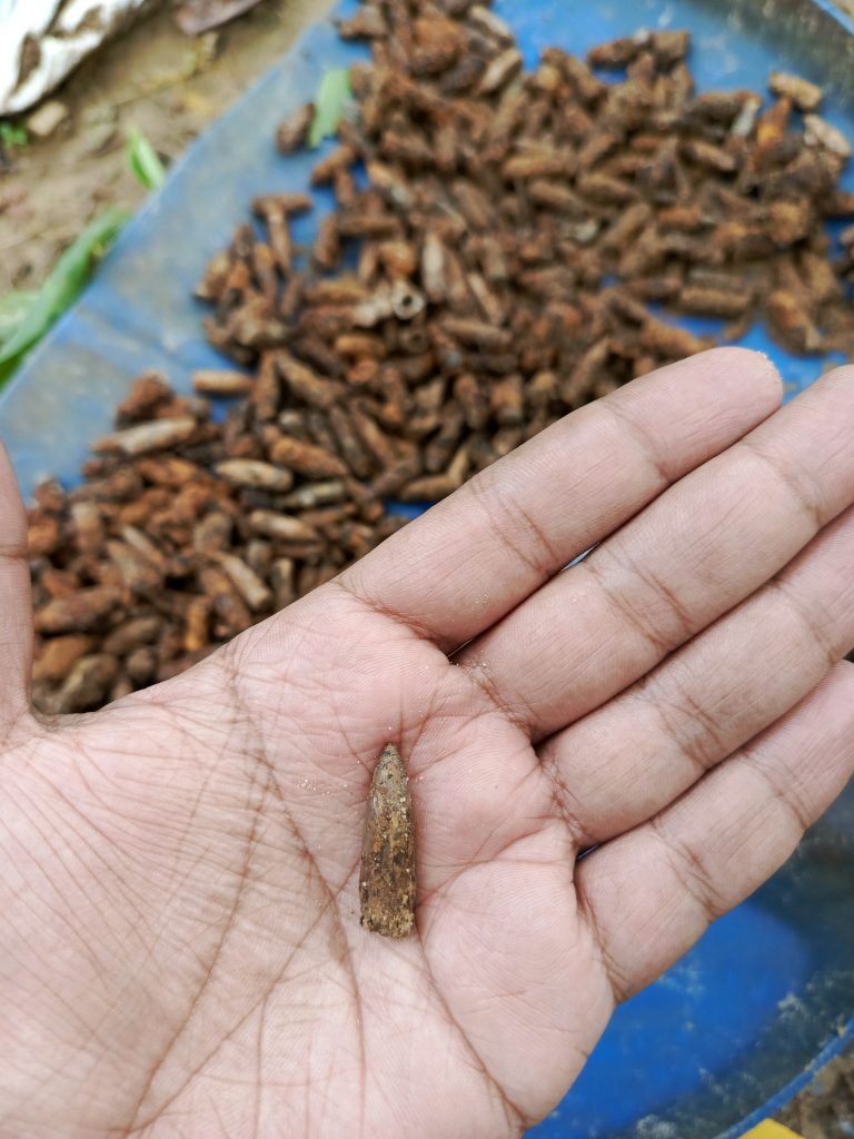 A close-up of a person’s hand holding a small rusted bullet. In the background, there is a blue surface covered with numerous others.