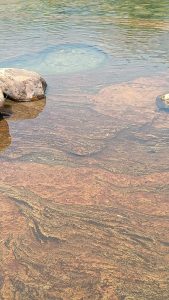 View larger photo: Clear water with visible rock formations beneath the surface, some of which are multicolored and have wavy patterns. Several larger rocks are partially submerged near the edge.