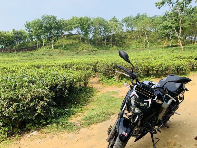 A black motorcycle is parked on a dirt path next to a lush green tea plantation with rows of tea bushes. There are trees in the background and a clear sky overhead.