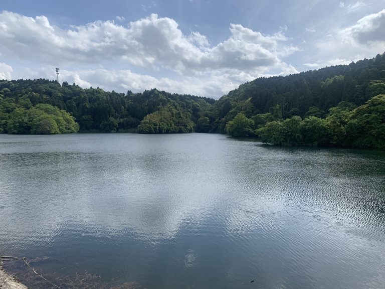 千葉県大網白里市　小中池　/　Konaka Pond, Ooamishirasato-shi, Chiba