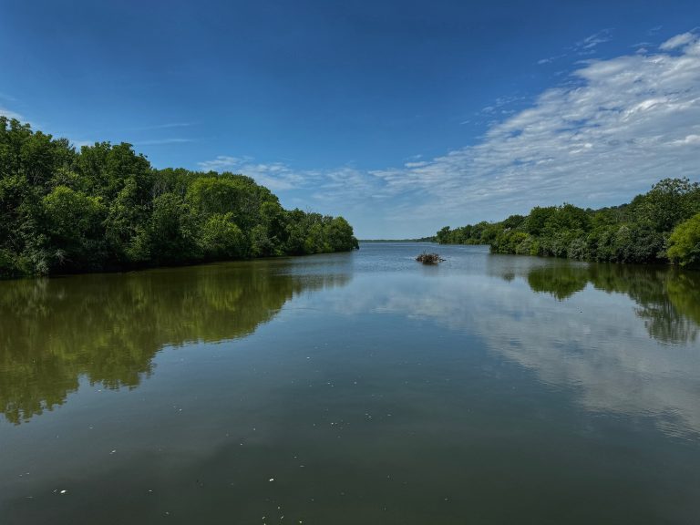 A calm river with reflections of lush green trees on both sides under a partly cloudy blue sky. Lake Galena at Peace Valley Park in Bucks County, Pennsylvania USA