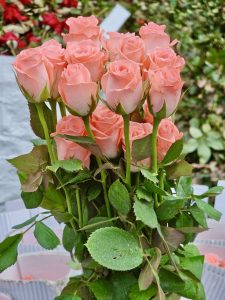 Peach colour rose flowers for sale. A morning click from KR Market, Bengaluru, Karnataka. 