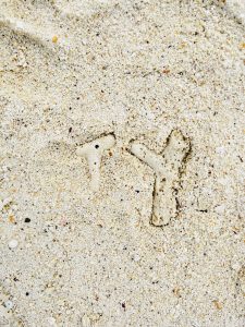 View larger photo: Letter shaped stones found in Beach sand