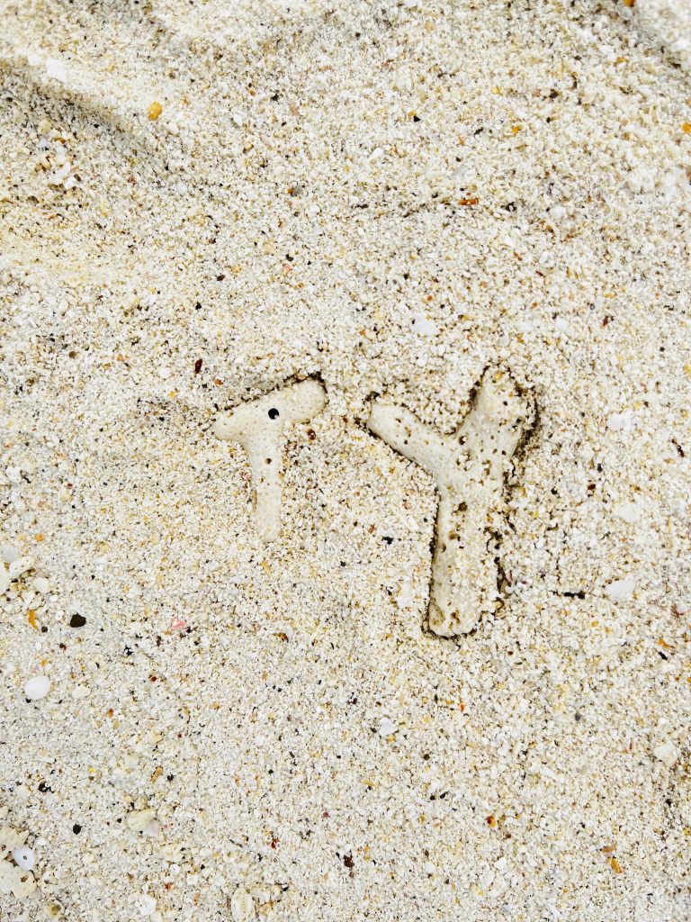 Letter shaped stones found in Beach sand