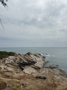 View larger photo: Rocky coastline with patches of dry grass leads to a calm sea under an overcast sky.