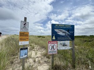 Some warning signs along a beach entrance path with a partly cloudy sky. They warn of great white sharks, no life guard on duty, no pets allowed, and ongoing construction.
