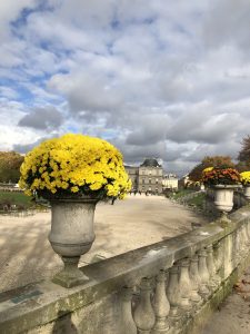 View larger photo: Jardin du Luxembourg, Paris, France, Flowers, Cloudy