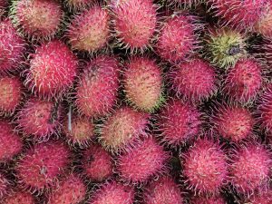 View larger photo: Rambutan (Nephelium lappaceum) fruits for sale. From the streets of Kozhikode, Kerala.