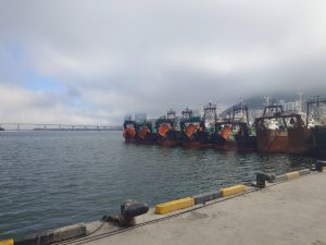 Old rusty fishing vessels lined up at the dock. Blue water and white clouds are low in the sky.