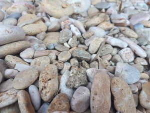 Close-up of sea stones near the shore (Elba island)