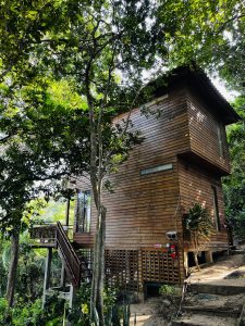 A wooden treehouse built on stilts surrounded by lush green trees and foliage. It has a staircase leading up to the entrance and windows that provide a view of the forest. The house blends harmoniously with its natural surroundings, creating a serene and secluded ambiance.