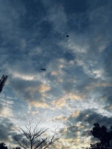 View larger photo: Silhouettes of two birds are seen flying high, and the outline of a tree with bare branches is visible in the lower part of the image. Additional silhouettes of trees and a cell tower can be seen on the margins.