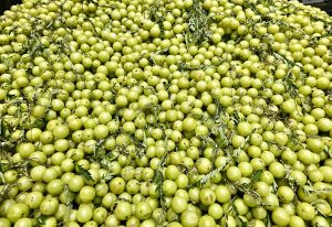 View larger photo: Hundreds of Indian gooseberry (Phyllanthus emblica) fruits for sale. From the streets of Kozhikode, Kerala, India.