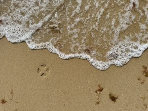 Smooth, undisturbed sand at the beach with an “X” imprinted and some small seaweed. A wave is washing into frame.
