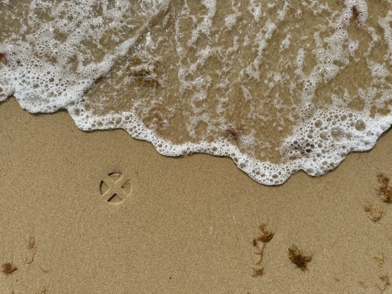 Smooth, undisturbed sand at the beach with an “X” imprinted and some small seaweed. A wave is washing into frame.