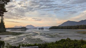 View larger photo: Tofino, British Columbia, Canada getting ready for sunset. Marsh in the foreground, lake beyond, with mountains in the distance.