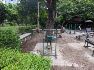 Outdoor gym with makeshift exercise equipment in Lumphini Park, Bangkok. Rusted weight benches, a barbell rack with weights on a tree, and various workout stations are surrounded by greenery.