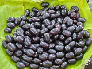 Syzygium cumini fruits are kept in banana leaves for sale. It is commonly known as Malabar plum, Java plum, black plum, jamun, jaman, jambul, or jambolan. From the streets of Bengaluru, Karnataka.