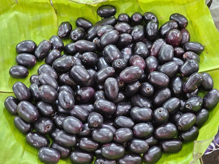 Syzygium cumini fruits are kept in banana leaves for sale. It is commonly known as Malabar plum, Java plum, black plum, jamun, jaman, jambul, or jambolan. From the streets of Bengaluru, Karnataka.