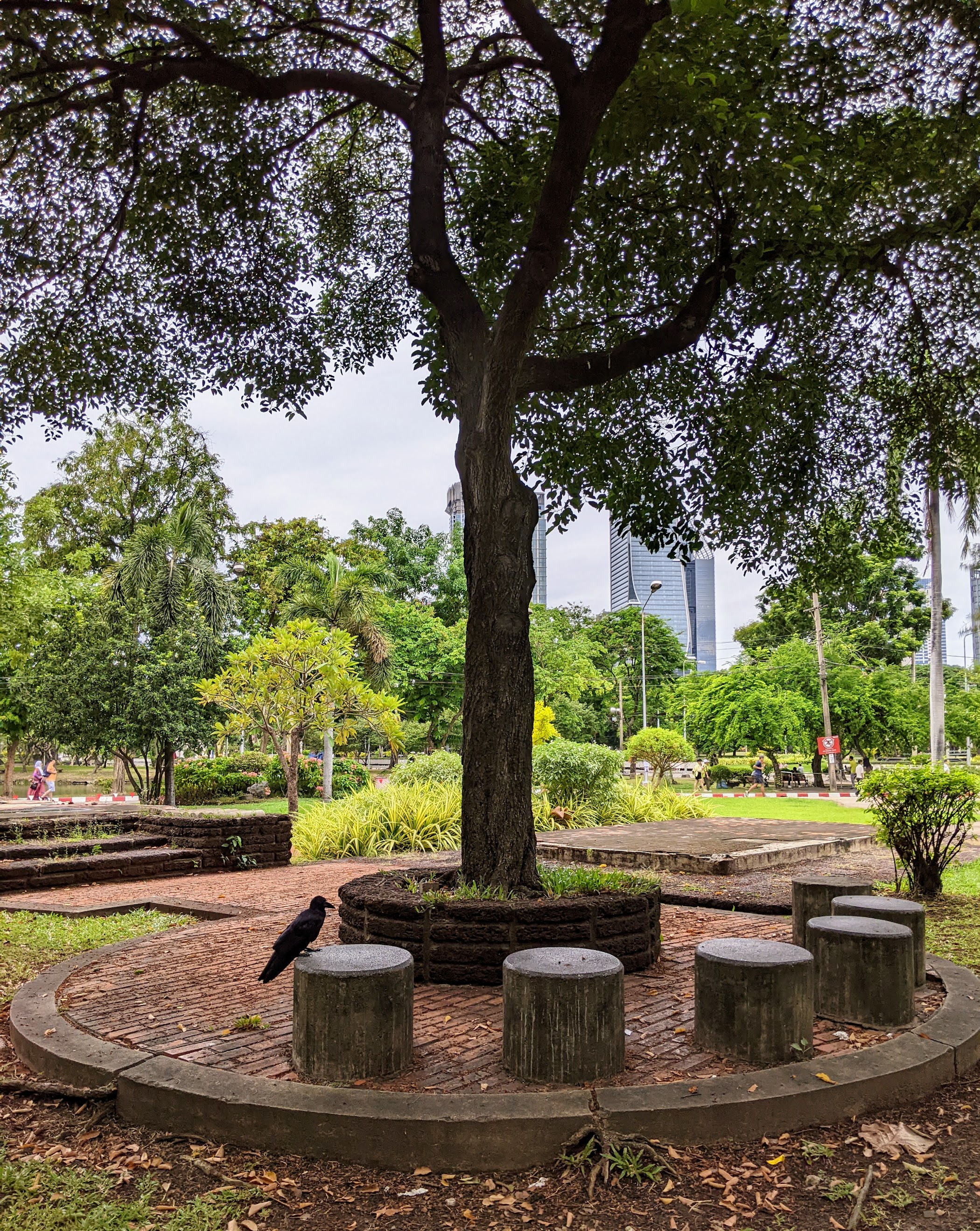 A large tree in Lumphini Park, Bangkok, shading a circular stone seating area with a black bird perched on one stump, city buildings in the background.