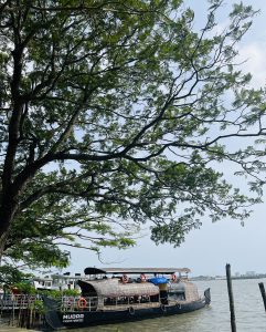 Riverboat large enough to hold 50-60 people, docked at the shore under a very large tree.