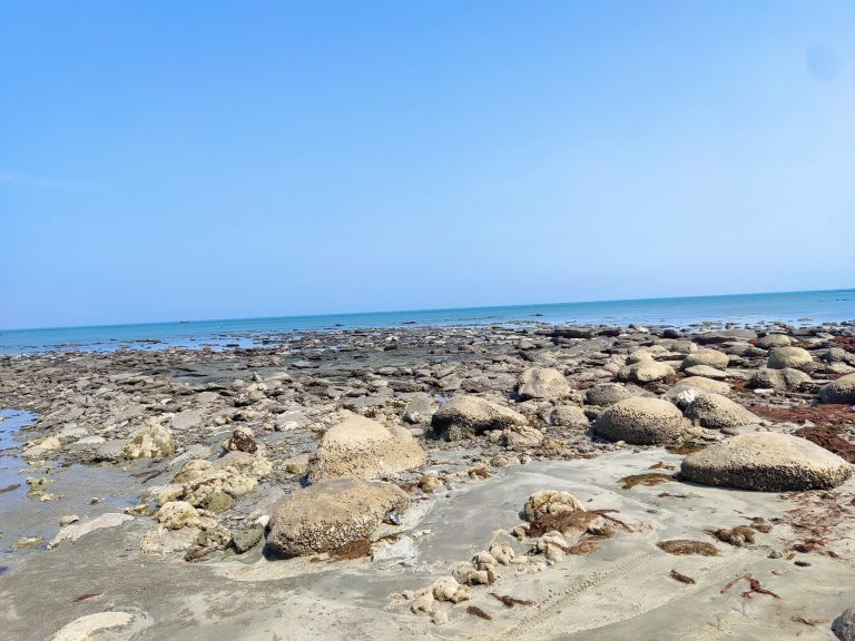 A beach with a rocky shoreline extends into the distance under a clear blue sky. Large rocks and smaller stones are scattered along the beach, with calm blue ocean water in the background.