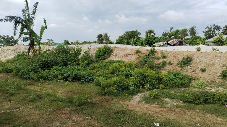 A view of a grassy area with dense shrubs and bushes, a sandy hill in the background, and houses with tin roofs partially visible beyond the hill under a cloudy sky.