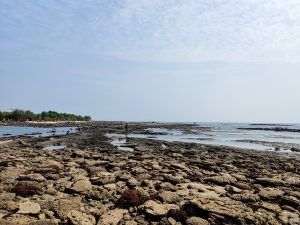 Flat coral exposed to the air at low tide.  People walking on it in the far distance.