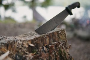  A large knife stuck in a tree stump outdoors, with a blurred natural background.
