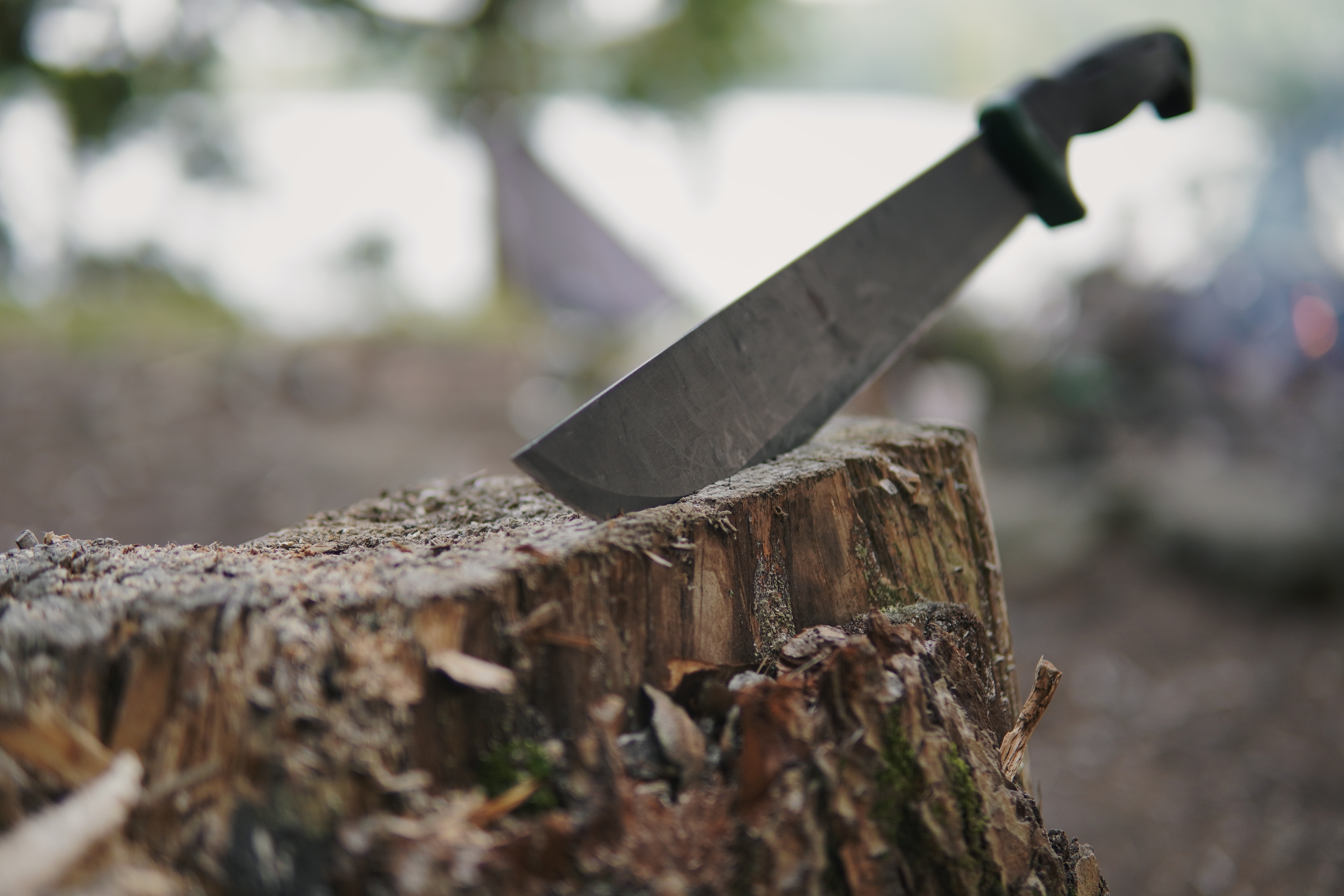 A large knife stuck in a tree stump outdoors, with a blurred natural background.