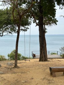 View larger photo: A view of a large body of water. In the foreground is a small tree with a swing hanging from it, a large tree, and a square deck to stand on over the water.