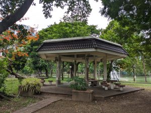 A traditional open-air pavilion in Lumphini Park, Bangkok. The pavilion features a dark tiled roof supported by columns, with benches inside for seating. Surrounding the pavilion are lush green trees, with orange flowers visible on one tree. A fountain sprays water in the background near a pond. The scene is tranquil, offering a peaceful place.