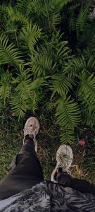 Top-down view of a person standing on a patch of grass, surrounded by lush green fern leaves. 