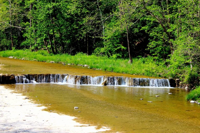 View of a small waterfall in a river.