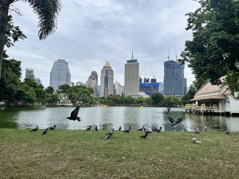 A scenic view of Lumphini Park, Bangkok, showing a grassy area near a pond with several pigeons on the ground and one in flight. The background features a skyline of modern skyscrapers with various architectural designs. The scene captures the blend of nature and urban life.