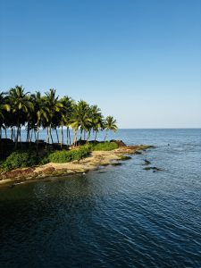 Scenic view of Kadalundi Nagaram Beach with a line of palm trees, clear blue sky, and calm ocean waters. The shore is dotted with green vegetation and small rocks.