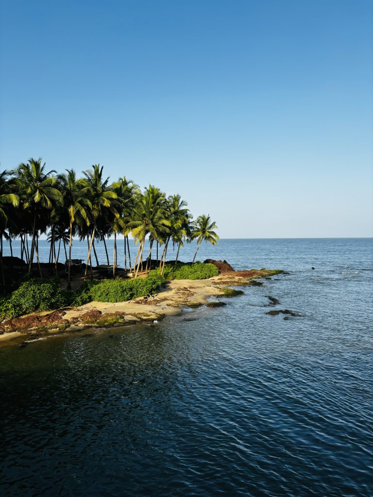 Scenic view of Kadalundi Nagaram Beach with a line of palm trees, clear blue sky, and calm ocean waters. The shore is dotted with green vegetation and small rocks.