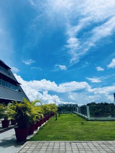 View larger photo: Rooftop lawn surrounded by plants under a brilliant blue sky filled with dynamic clouds.