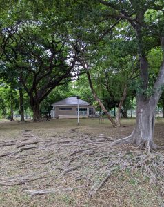 View larger photo: A brown, small park building surrounded by large trees with sprawling roots, in Lumphini Park, Bangkok, Thailand. The green leaves from the trees create a shady canopy.