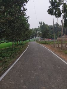  Narrow Road trees on both sides.