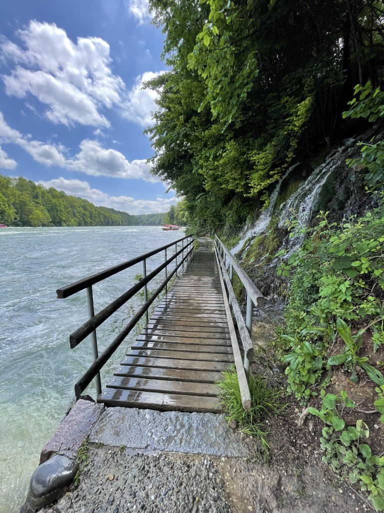 A spring and wooden bridge near Rhine waterfall, Switzerland.