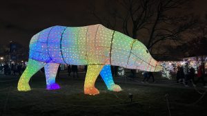 Sculpture of a polar bear using wire, white material, and colored christmas lights at brookfield zoo's holiday magic